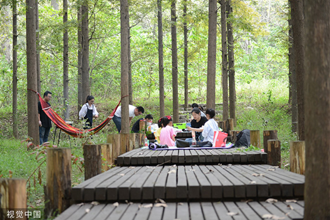 公司位置示意图